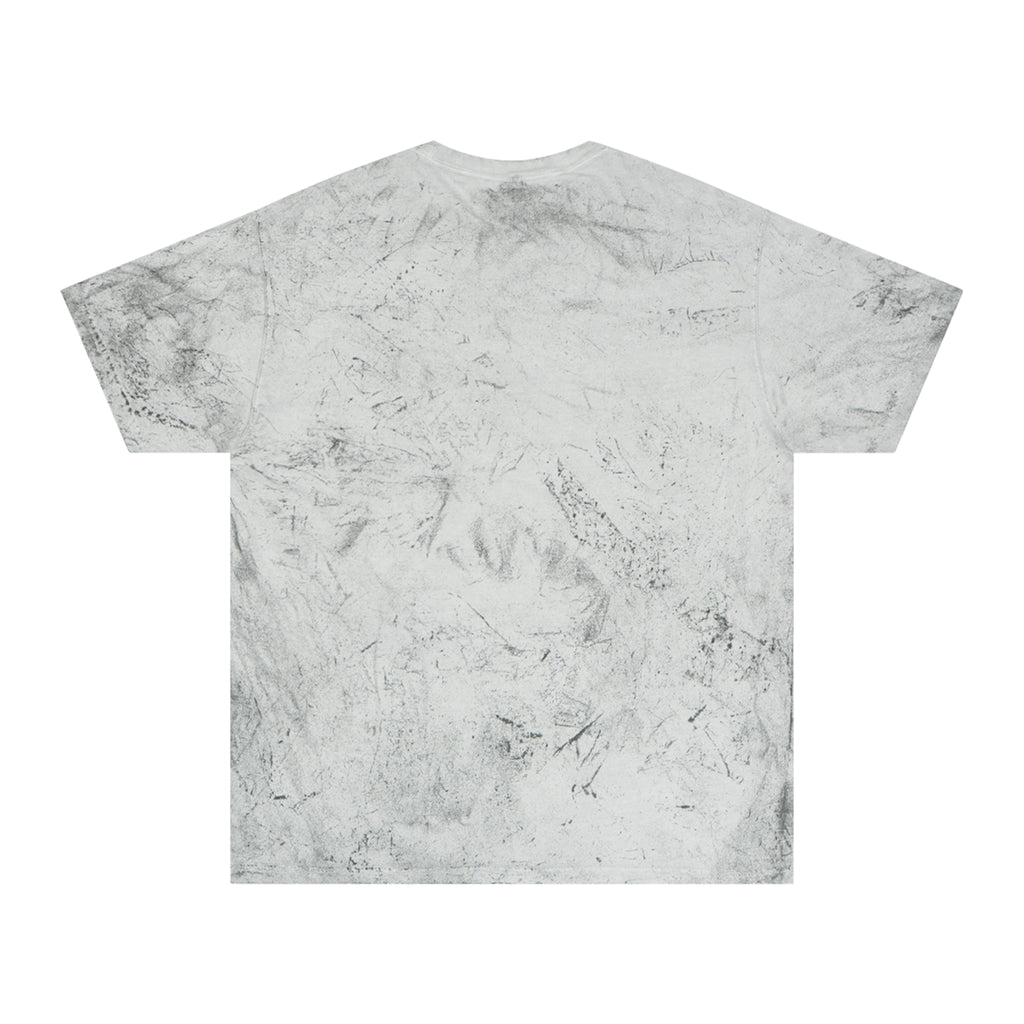 FITTWAVE RAVE ANIMAL | Unisex Color Blast T-Shirt, Casual Wear, RAVE Fashion, Graphic T-Shirt, Street Style