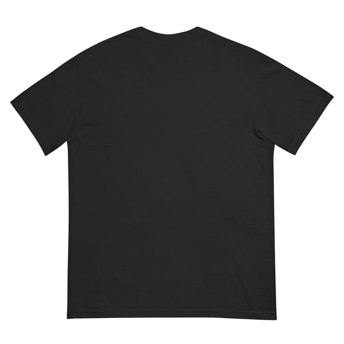 T-shirt back of the unisex  the black graphic t-shirt with a tiger print and that says via text 'BREAK THE MOLD' designed by Fittwave Fitness Inc. a 501c3 non-profit based in Colorado Springs, Colorado. 